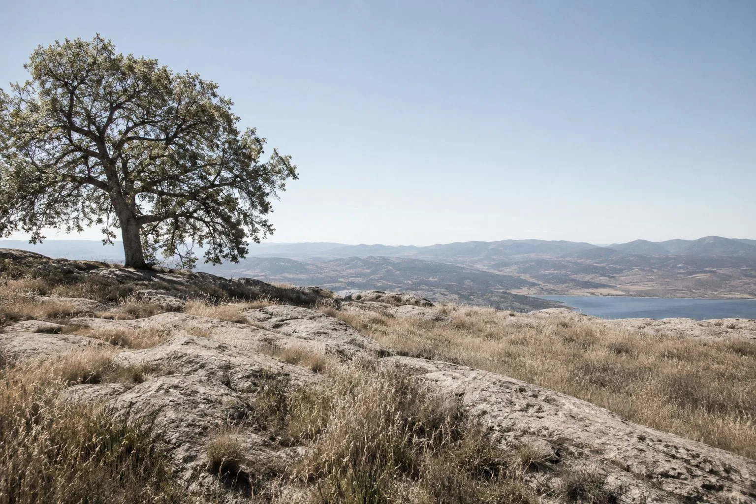 Raw land parcel